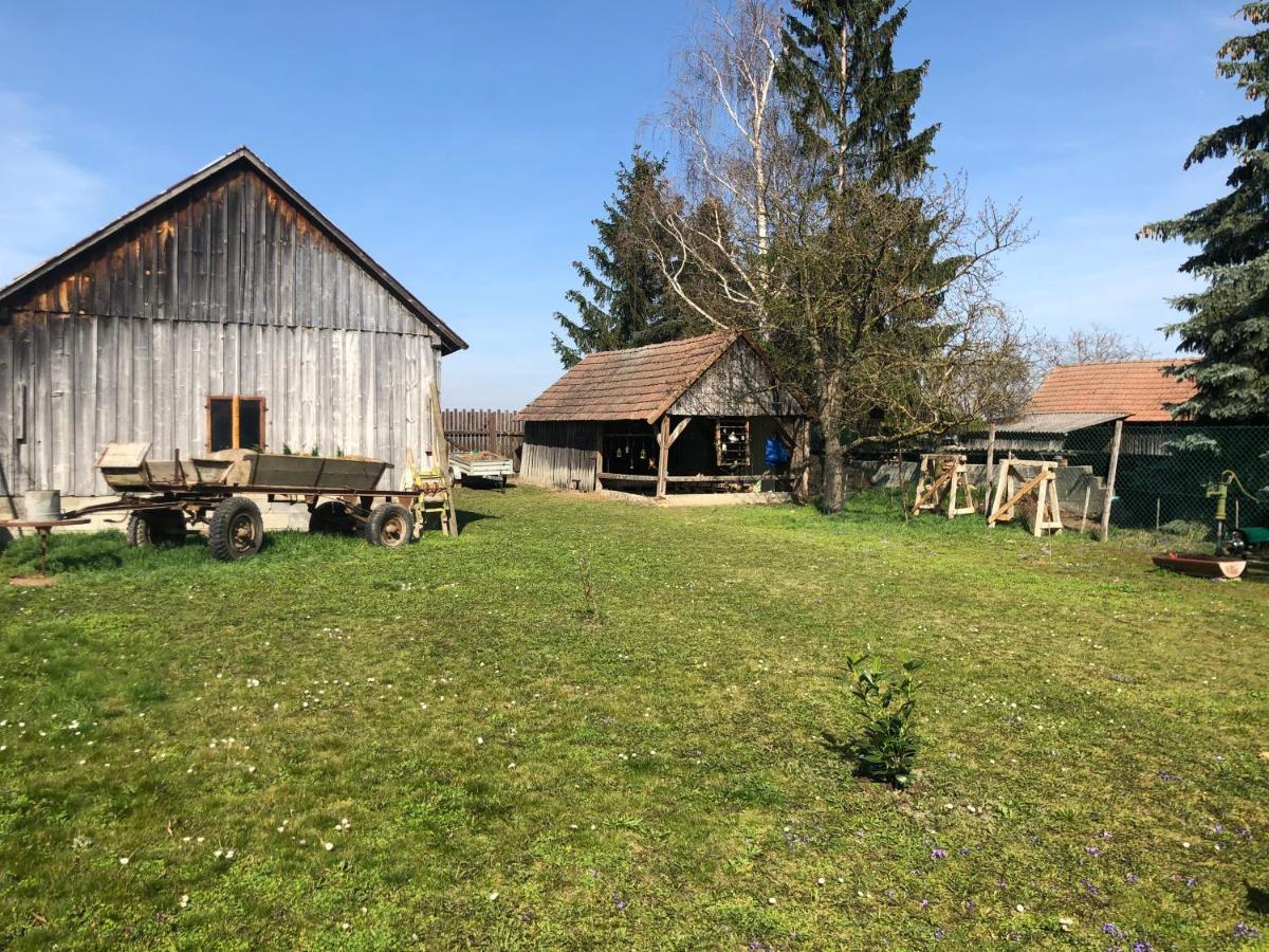 Auszeit; Gaestehaus & Mehr Kollersdorf Экстерьер фото
